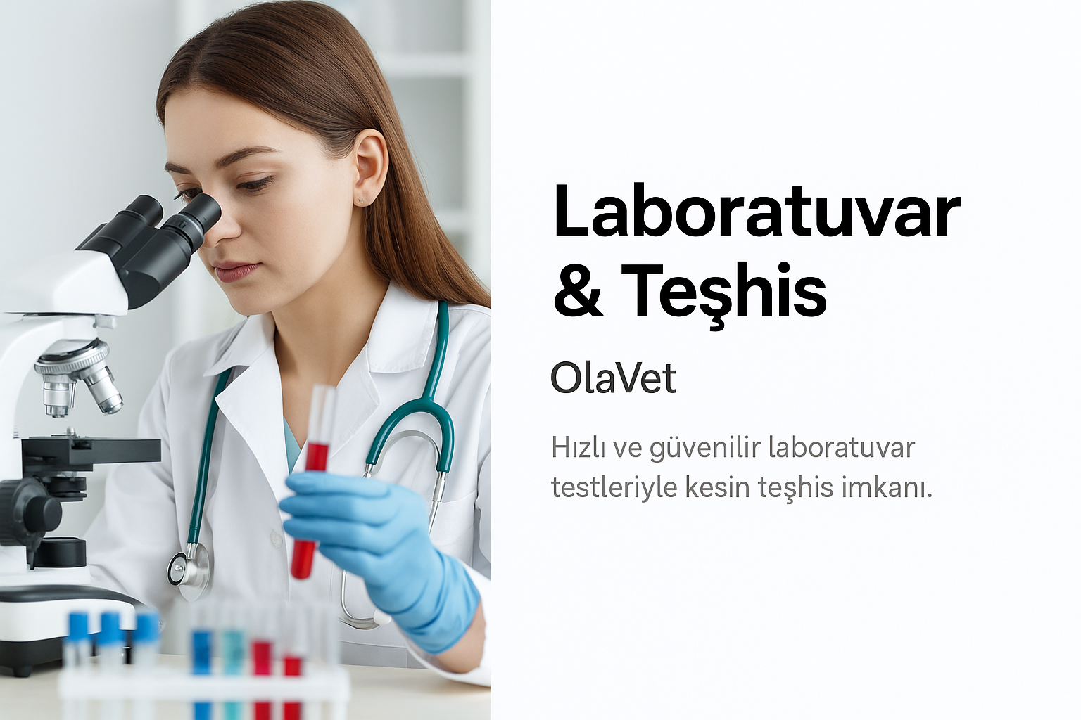 OlaVet Veteriner Kliniği – Laboratuvar ve Teşhis Hizmeti