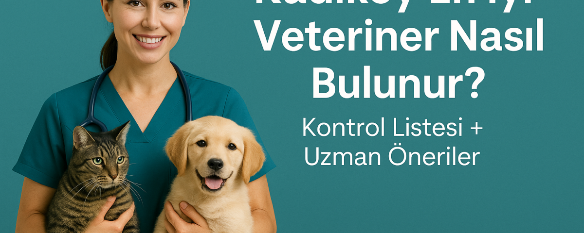 Kadıköy en iyi veteriner nasıl bulunur? Kontrol listesi ve uzman öneriler | OlaVet
