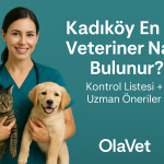 Kadıköy en iyi veteriner nasıl bulunur? Kontrol listesi ve uzman öneriler | OlaVet