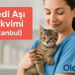 Kedi aşı takvimi İstanbul – hangi aşı ne zaman yapılır? | OlaVet Kadıköy