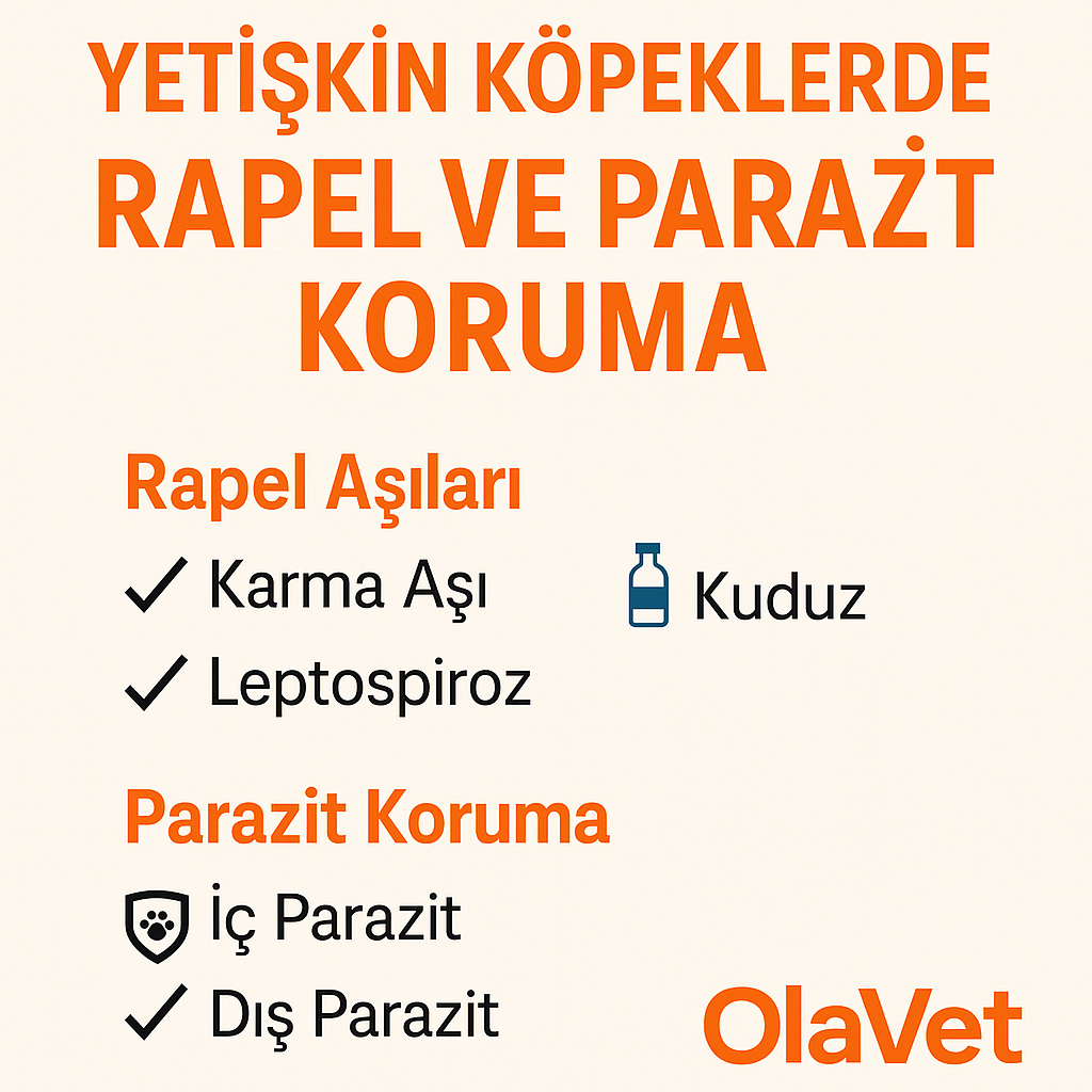 Yetişkin köpeklerde rapel (karma, kuduz, leptospiroz) ve iç–dış parazit koruma — OlaVet