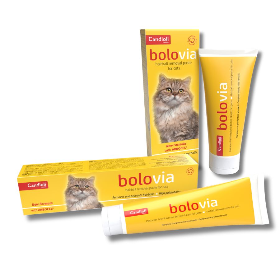 Candioli BoloVia (Bolovia) – Kedi Tüy Yumağı Malt Macunu